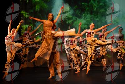 SHOW_02195.jpg